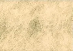 Karton Impression 310g/qm 50x70cm gold