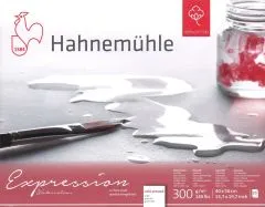 Hahnem�hle Aquarellblock Expression 40x50cm matt
