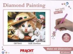 Diamond Painting mit Rahmen 30x40cm - Katze mit Hut