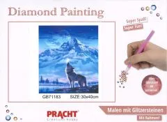Diamond Painting mit Rahmen 30x40cm - Wolf vor Berg