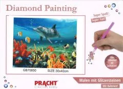 Diamond Painting mit Rahmen 30x40cm - Delfin
