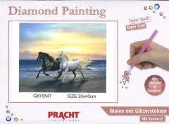 Diamond Painting mit Rahmen 30x40cm - Pferde am Strand
