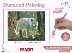 Diamond Painting mit Rahmen 30x40cm - wei�er Wolf