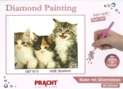 Diamond Painting mit Rahmen 30x40cm - 3 Katzenkinder