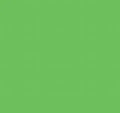 Heyda Fotokarton DIN A4 300g/m� grasgr�n