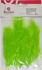 Deko-Federn 8cm 10 St�ck hellgr�n