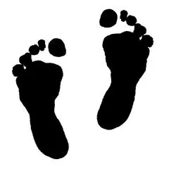 Knorr Stempel Babyf��e